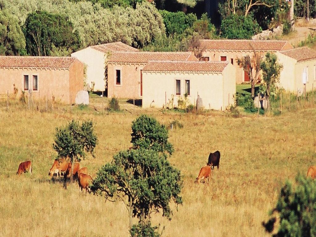 B&B Pubulos Olbia Kültér fotó
